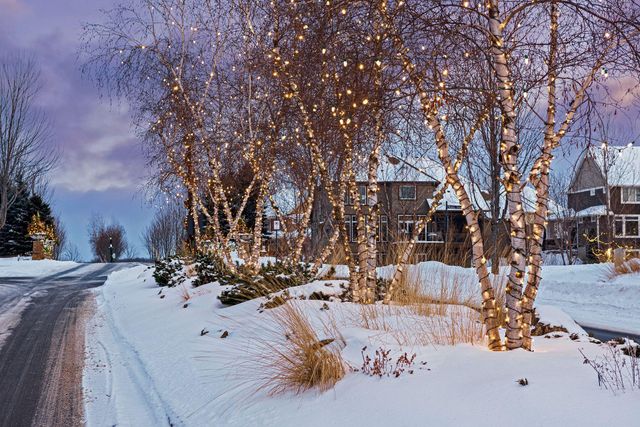 4622 Bluebell Trail N, Hamel, MN 55340