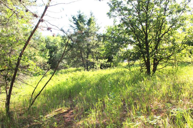 TBD 128th Street, Staples, MN 56479