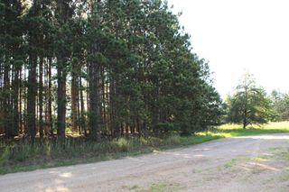 TBD 128th Street, Staples, MN 56479