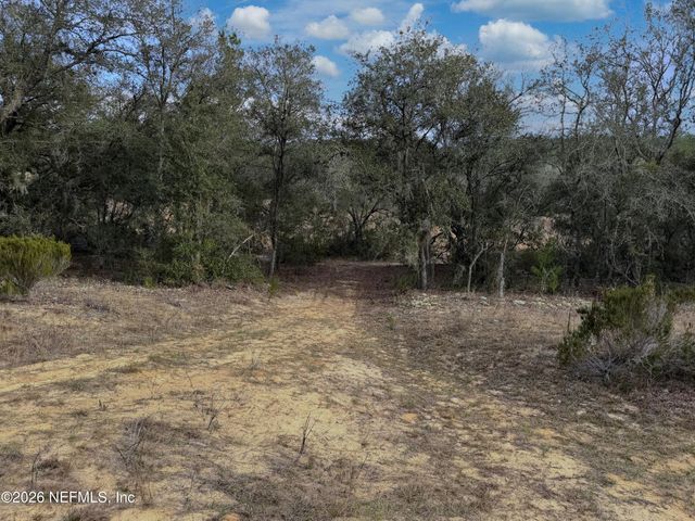 00000 CITRUS Drive, Interlachen, FL 32148