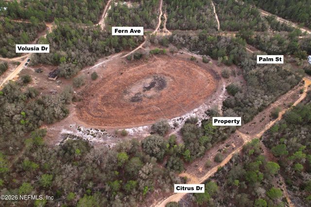 00000 CITRUS Drive, Interlachen, FL 32148