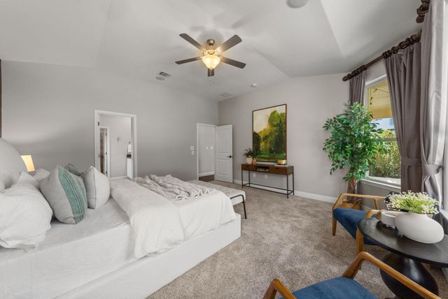 11310 Birlandier CT, Manchaca, TX 78652