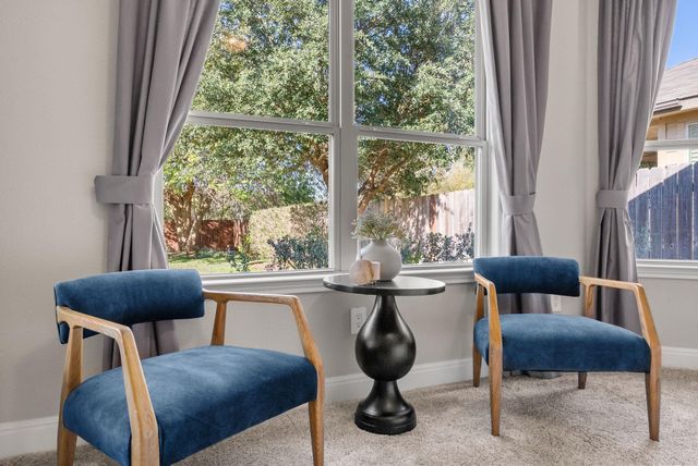 11310 Birlandier CT, Manchaca, TX 78652