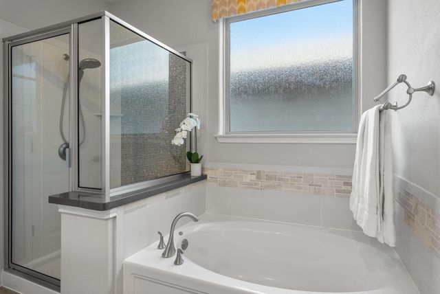 11310 Birlandier CT, Manchaca, TX 78652