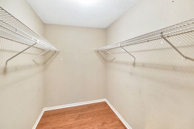 123 Forest Drive, Townville, SC 29689
