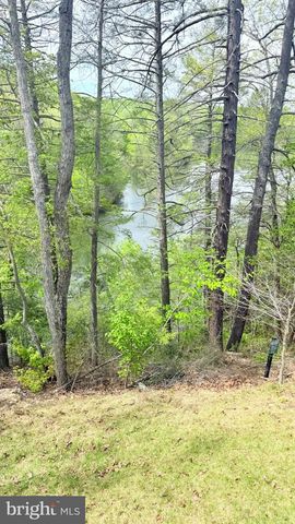 103 LAKE BLUFF CT, Fredericksburg, VA 22406