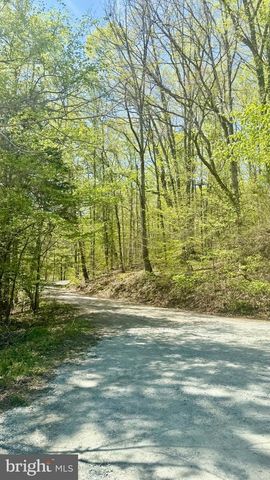 103 LAKE BLUFF CT, Fredericksburg, VA 22406