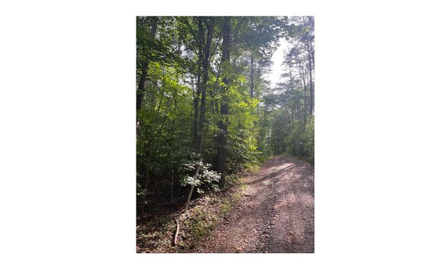 LT 5 Sherwood Forest Drive, Murphy, NC 28906