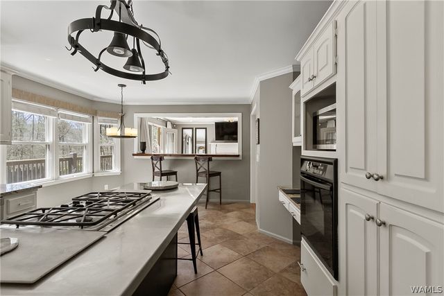 14 OAKCHASE, Tuscaloosa, AL 35406