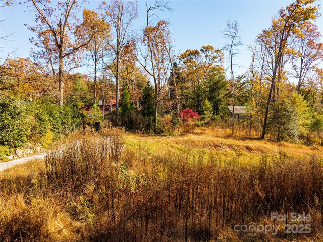 50 Forest Road, Asheville, NC 28803