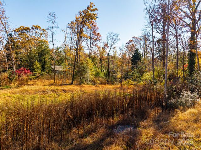 50 Forest Road, Asheville, NC 28803