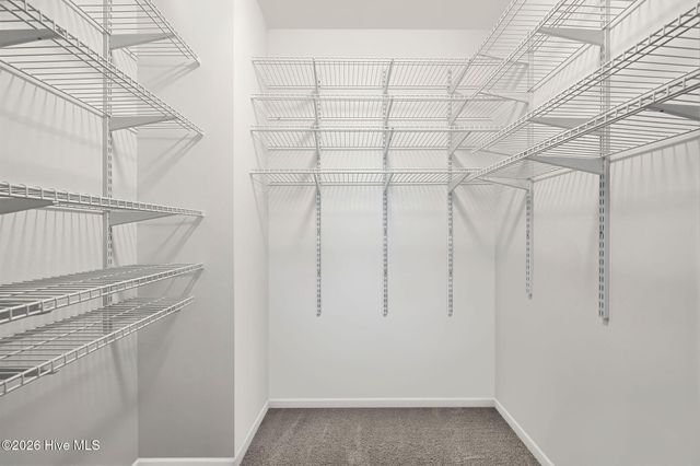 197 Desert Orchid Circle, Raeford, NC 28376