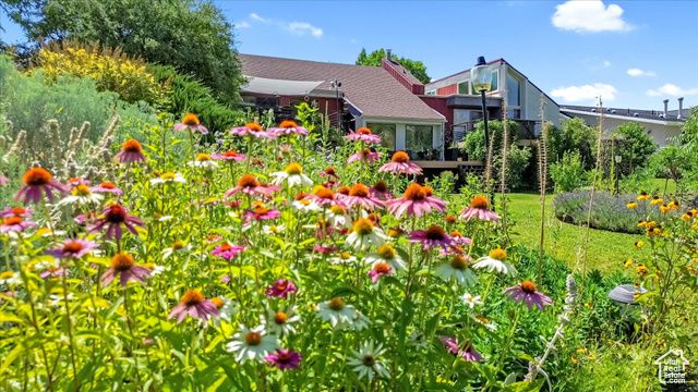 510 SPRING CREEK RD, Providence, UT 84332