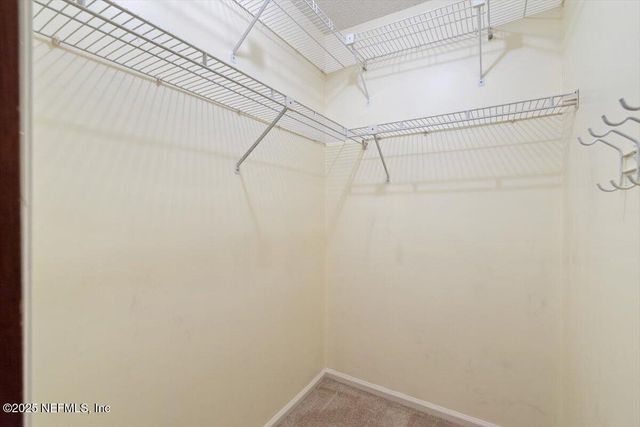 309 DEVONSHIRE Lane, Orange Park, FL 32073