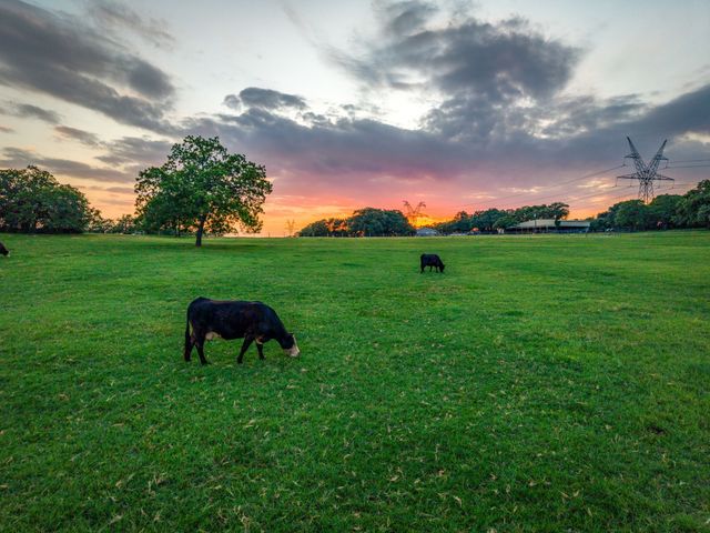 141 County Road 4793, Boyd, TX 76023