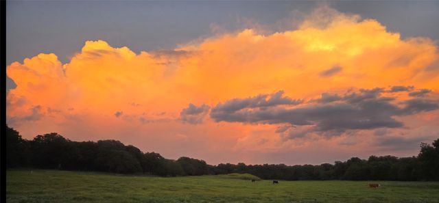 141 County Road 4793, Boyd, TX 76023