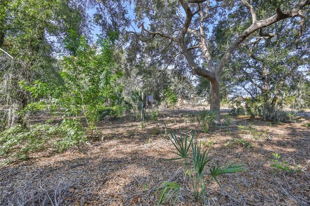 1706 SAFFOLD PARK DRIVE, Ruskin, FL 33570