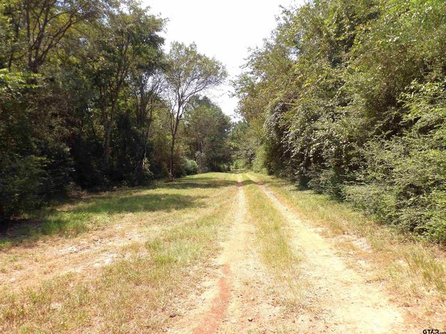 2399 CR 1885, Grapeland, TX 75844