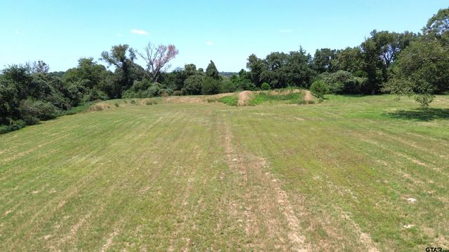 2399 CR 1885, Grapeland, TX 75844