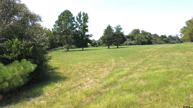 2399 CR 1885, Grapeland, TX 75844