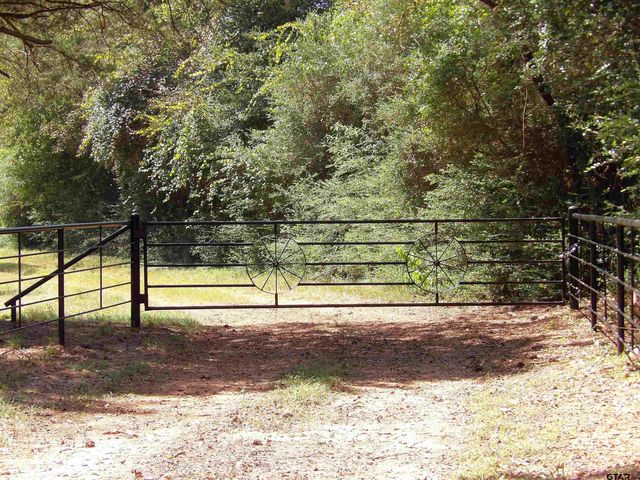 2399 CR 1885, Grapeland, TX 75844