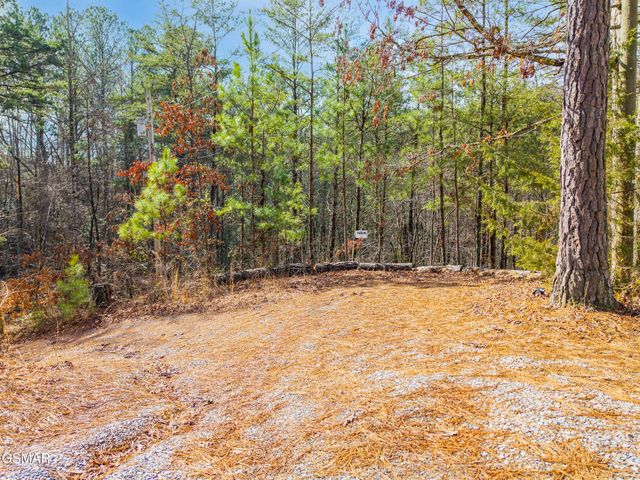 1420 Russell Hollow Road, Sevierville, TN 37876