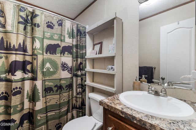 1420 Russell Hollow Road, Sevierville, TN 37876