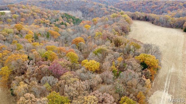 Tract 12 Polston Ln, Marthasville, MO 63357