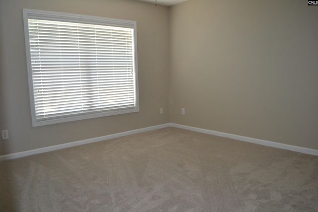 125 Blue Pine Lane, Lexington, SC 29073