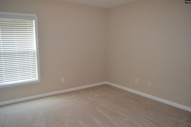 125 Blue Pine Lane, Lexington, SC 29073