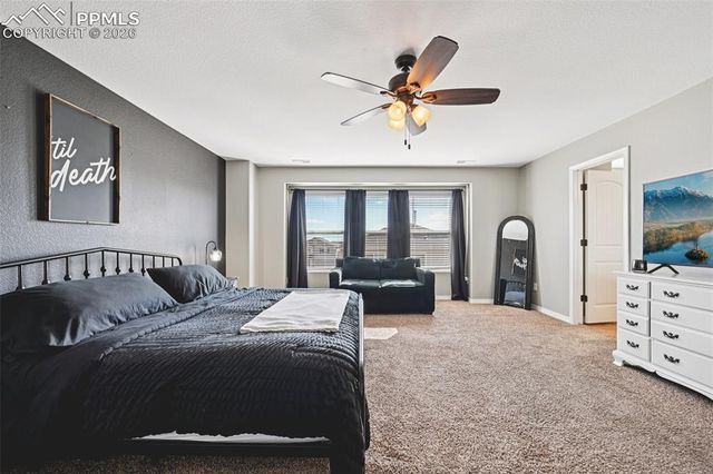 7157 Thorn Brush Way, Colorado Springs, CO 80923