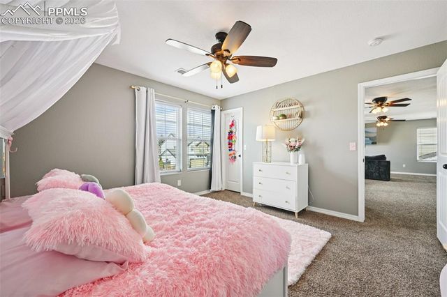 7157 Thorn Brush Way, Colorado Springs, CO 80923