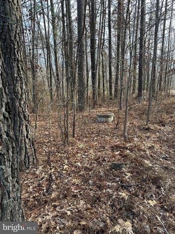 13319 W CATHARPIN RD, Spotsylvania, VA 22551