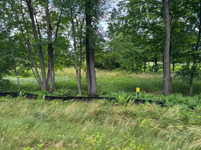 355 176th Lane NE, Ham Lake, MN 55304