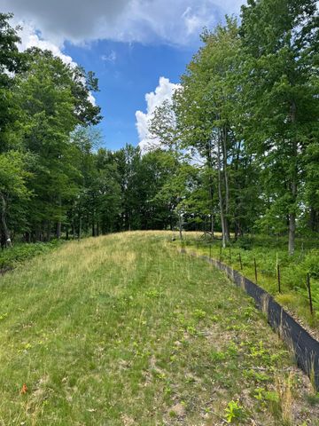 355 176th Lane NE, Ham Lake, MN 55304