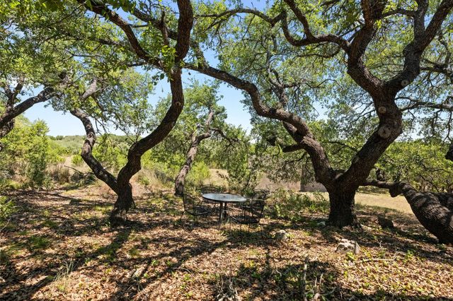 650 Springlake DR, Dripping Springs, TX 78620