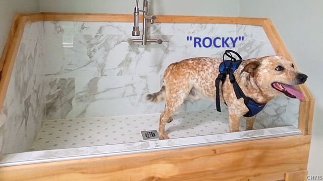 8914 Jackson Street, Brutus, NY 13166