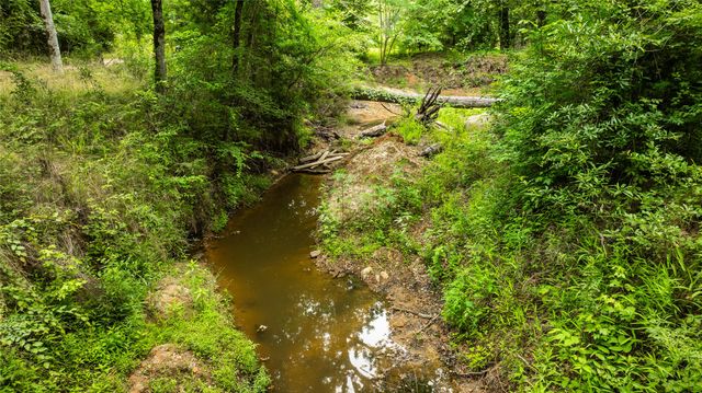 251 Private Road 8179, Ben Wheeler, TX 75754