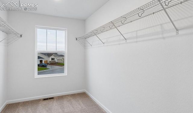 9342 Golden Buffs Drive, Colorado Springs, CO 80925