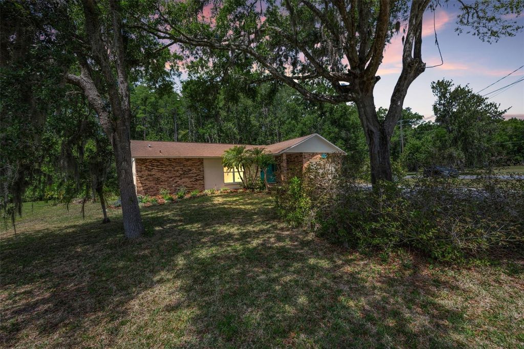 21823 SHAMU DRIVE, Land O Lakes, FL 34639