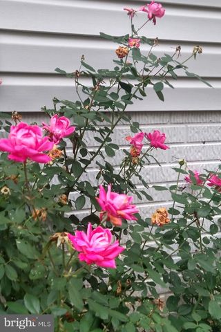 124 HARRISON CIR, Locust Grove, VA 22508