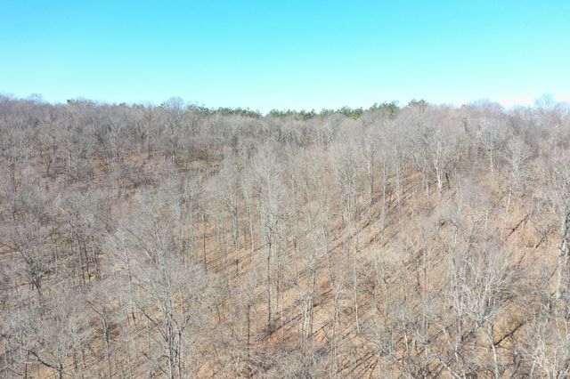 0 Dog Branch Rd, Mount Pleasant, TN 38474