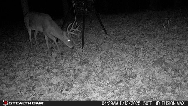 0 Dog Branch Rd, Mount Pleasant, TN 38474