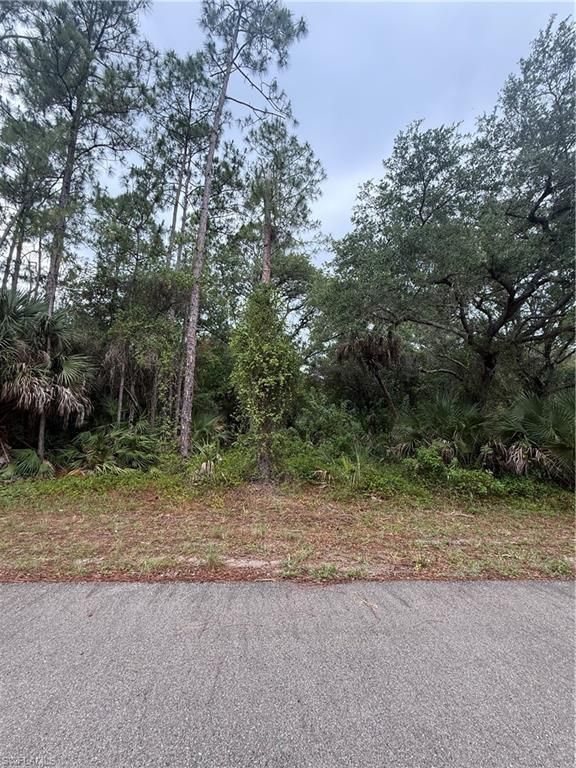 1659 Lake AVE, LEHIGH ACRES, FL 33972 — exterior