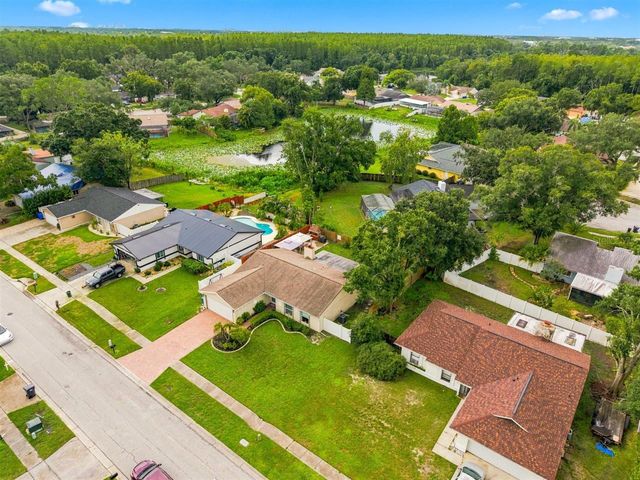 5309 BLACK PINE DRIVE, Tampa, FL 33624