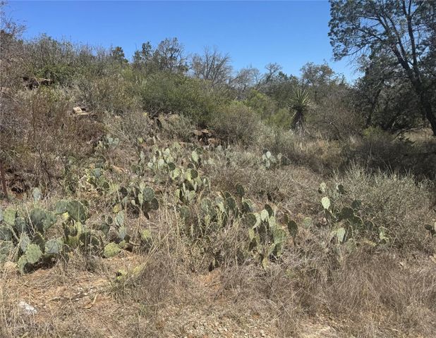 Lot 56 War Bonnet RDG, Kingsland, TX 78639