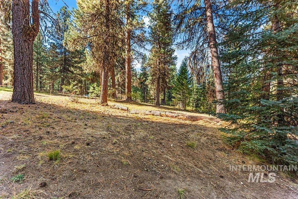 TBD Willow Dr, Lowman, ID 83637 photo 2