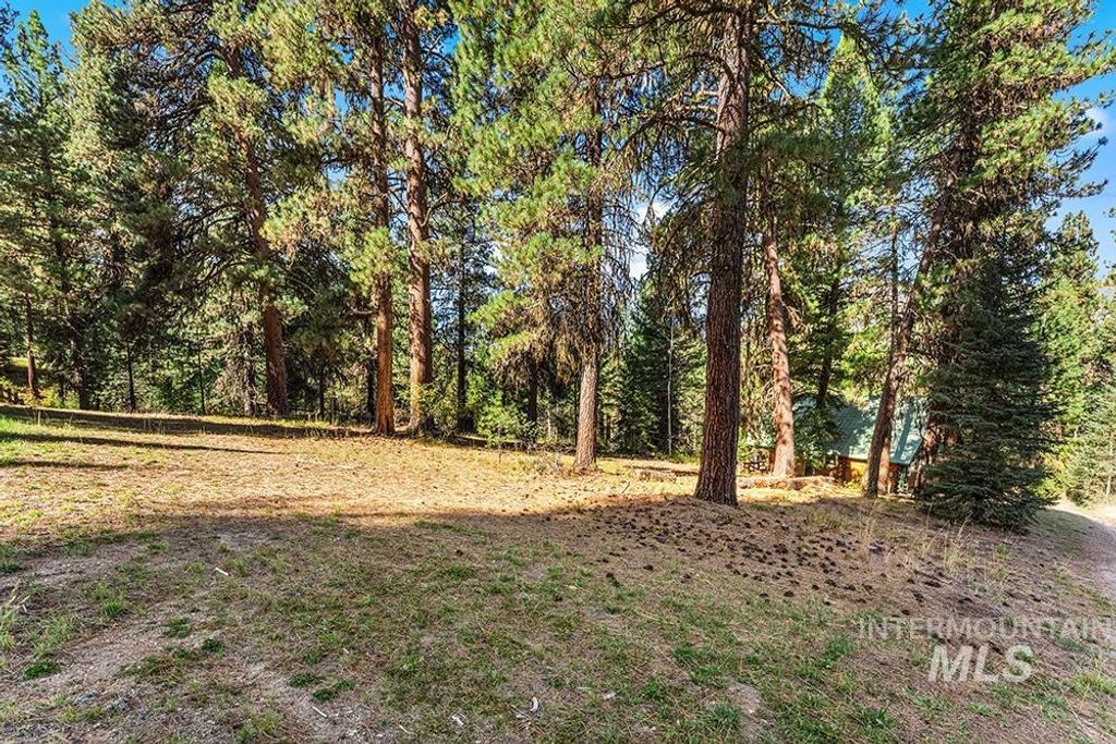 TBD Willow Dr, Lowman, ID 83637 photo 3