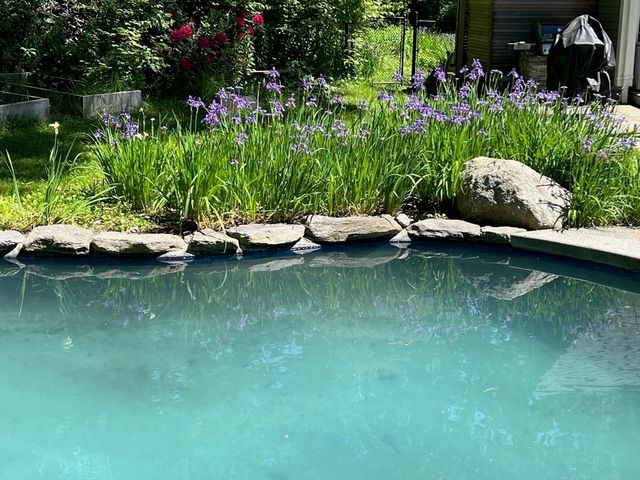 27 Wood Ridge Road, Weston, MA 02493