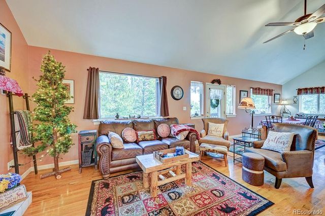 30433 National Forest Drive, Buena Vista, CO 81211